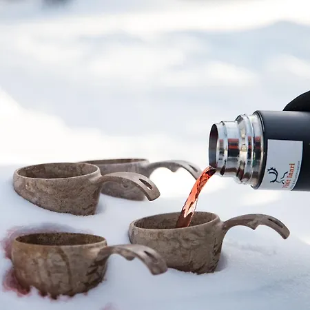 Alojamento de Turismo Selvagem Village